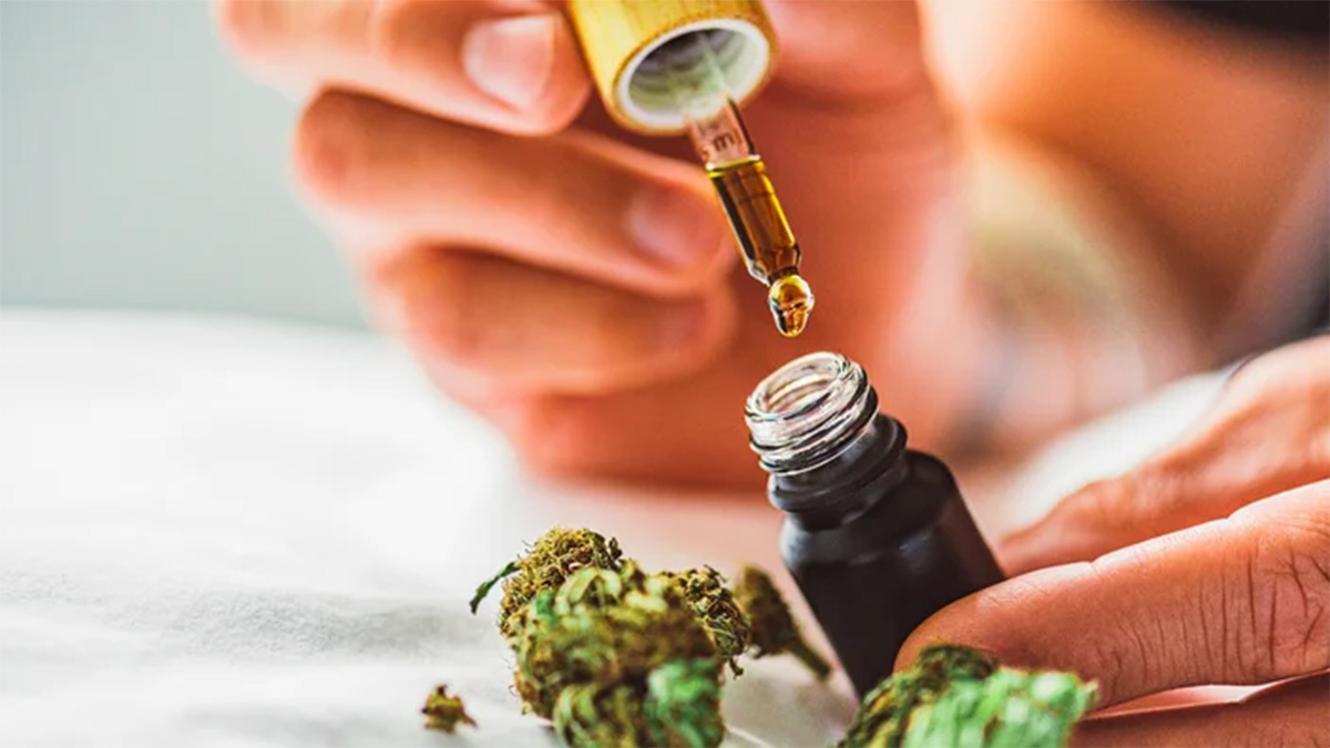 Person holding CBD oil and dropper with hemp buds on the table